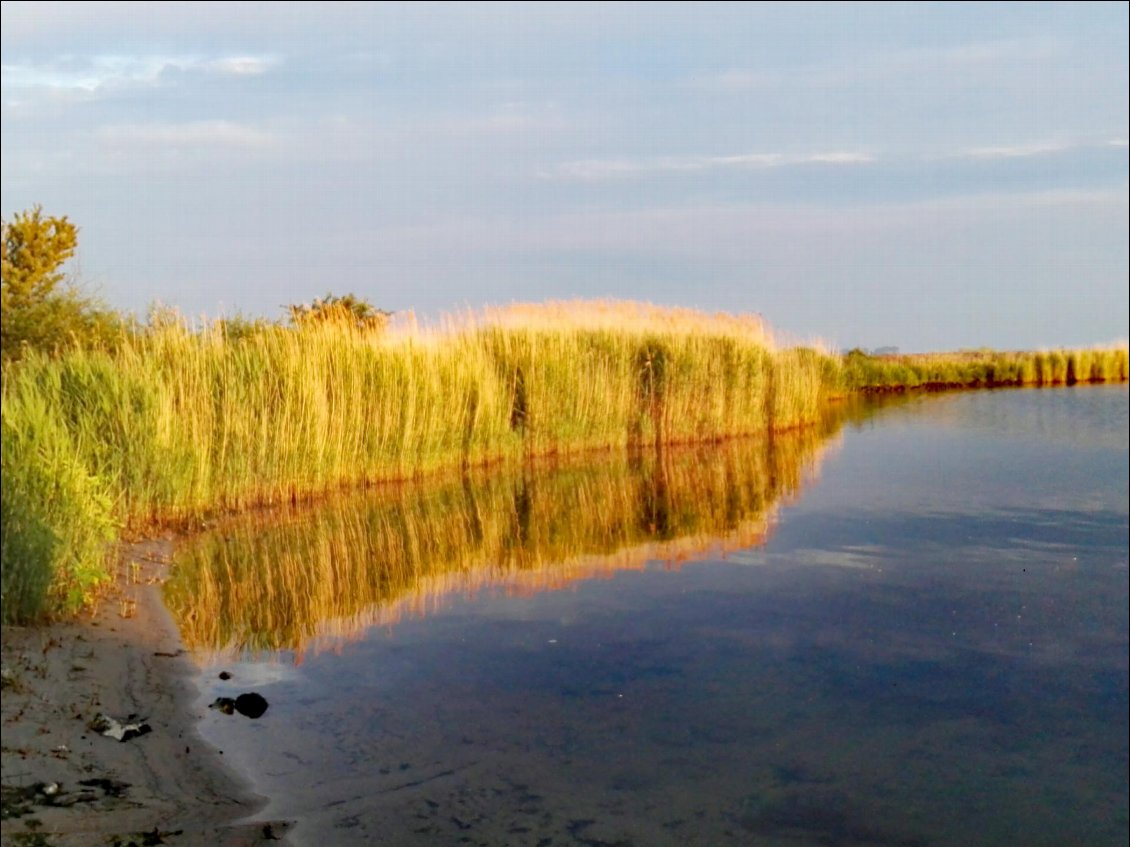 Haringvliet (NL). Bivouac