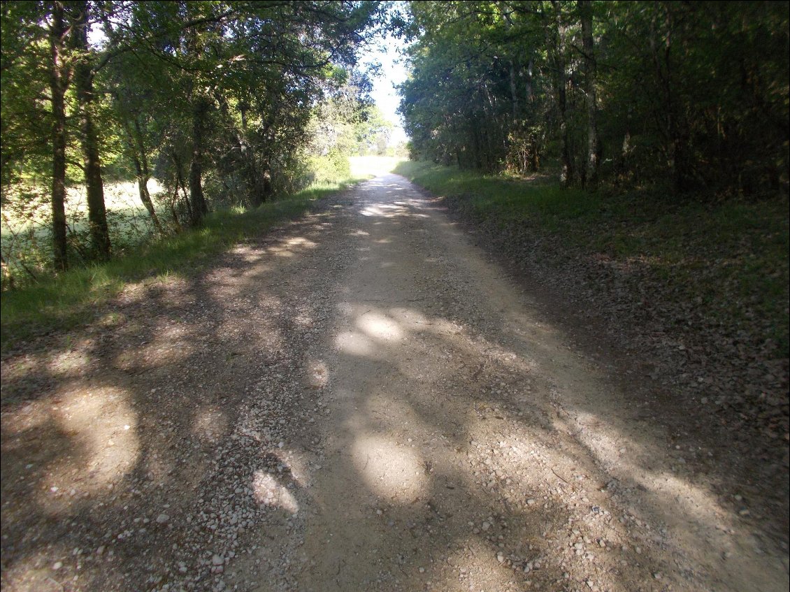 Chemin pénard.