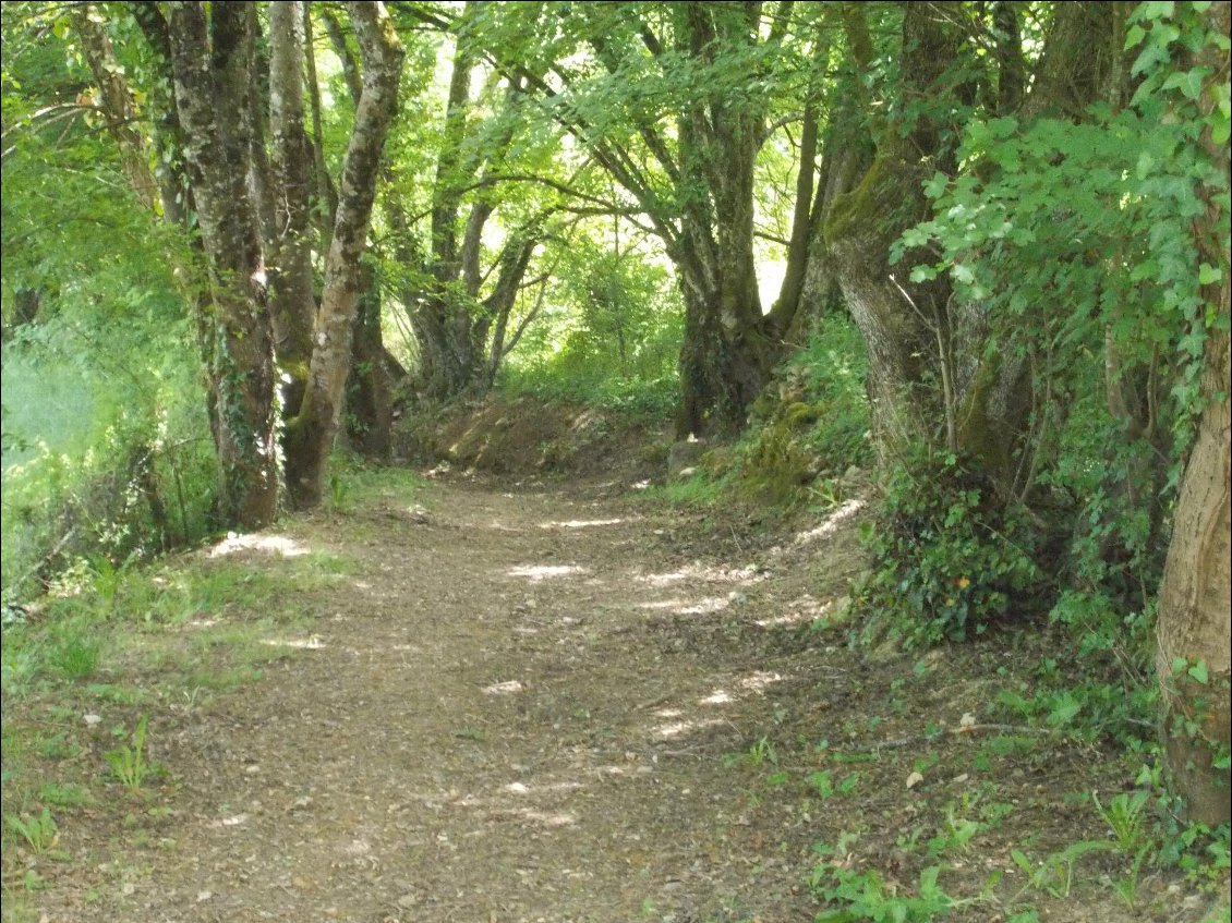 Chemin mystérieux pour rencontre improbable.