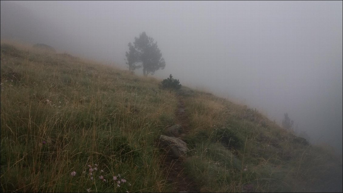 J18. Dans cette brume la seule chose que je percevais nettement c'était le sentier qui se déroulait à mes pieds, pour le reste je ne voyais qu'un voile blanc sur lequel se distinguait des formes ombragées.