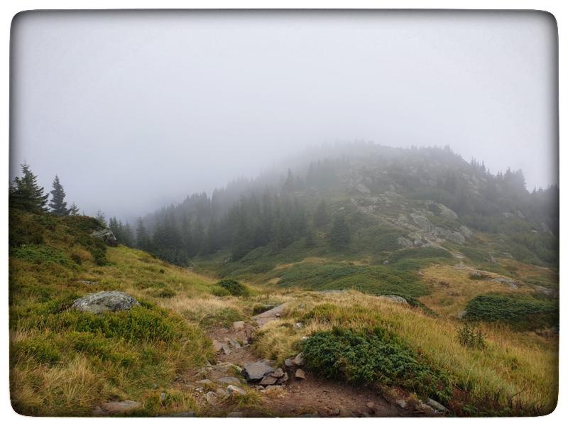 Départ: C'est ici que l'on a pu voir les Chamois