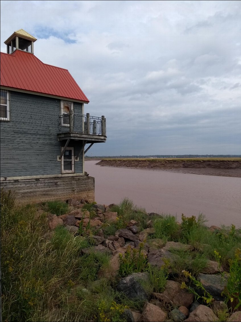 La rivière chocolat de Moncton