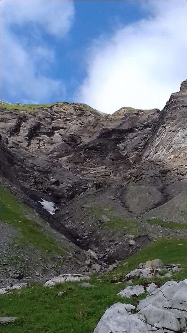 Pas à l'ours