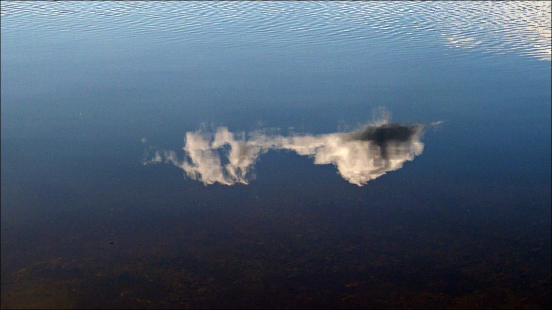 Parce que le reflet, c'est la seule rhétorique que nous tolérons de flatter.