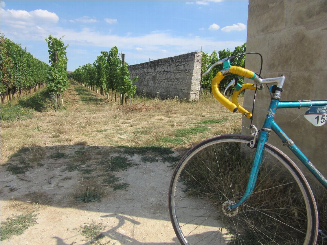 Le clos des murs