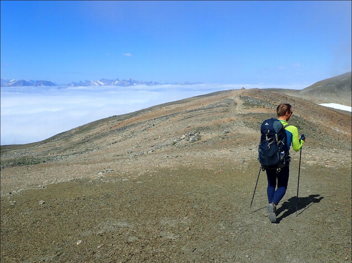 Le Skyline Trail aux portes de Jasper porte bien son nom. Faute de place disponible dans les campings, nous avons du faire ses 41 km en une journée