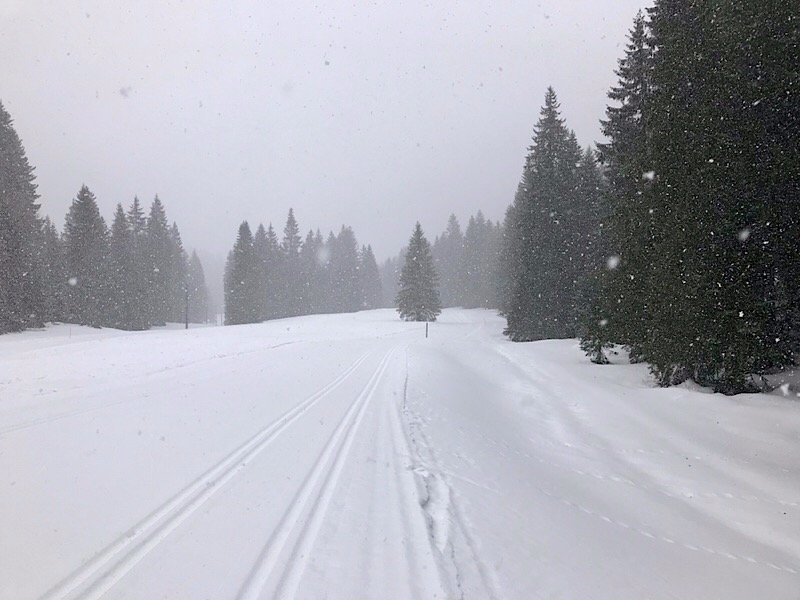 Chalet de la Frasse, dégradation de la météo