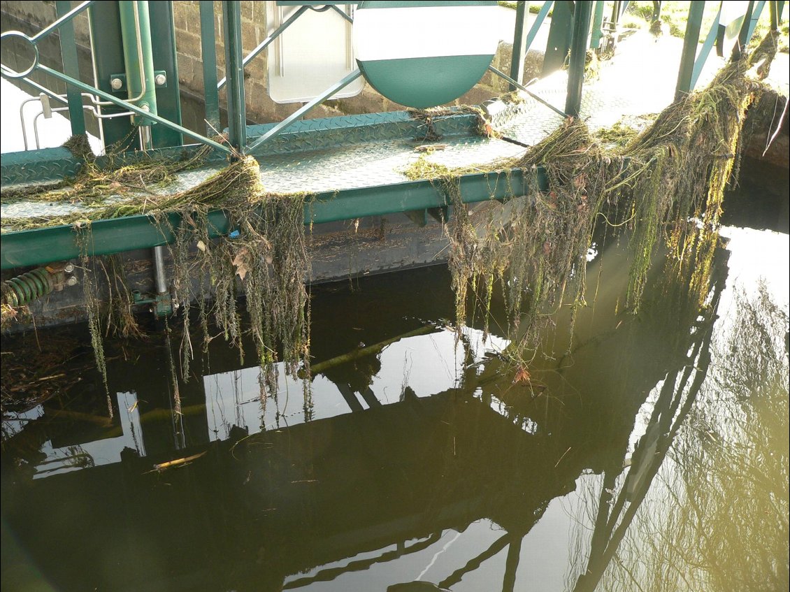 Les restes de la dernière tempête accrochés à l'écluse... Le canal avait atteint un haut niveau d'eau.