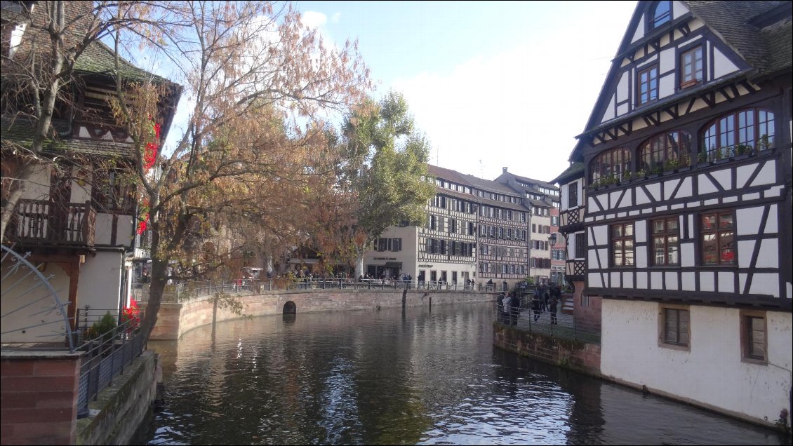 Déambulation à Strasbourg