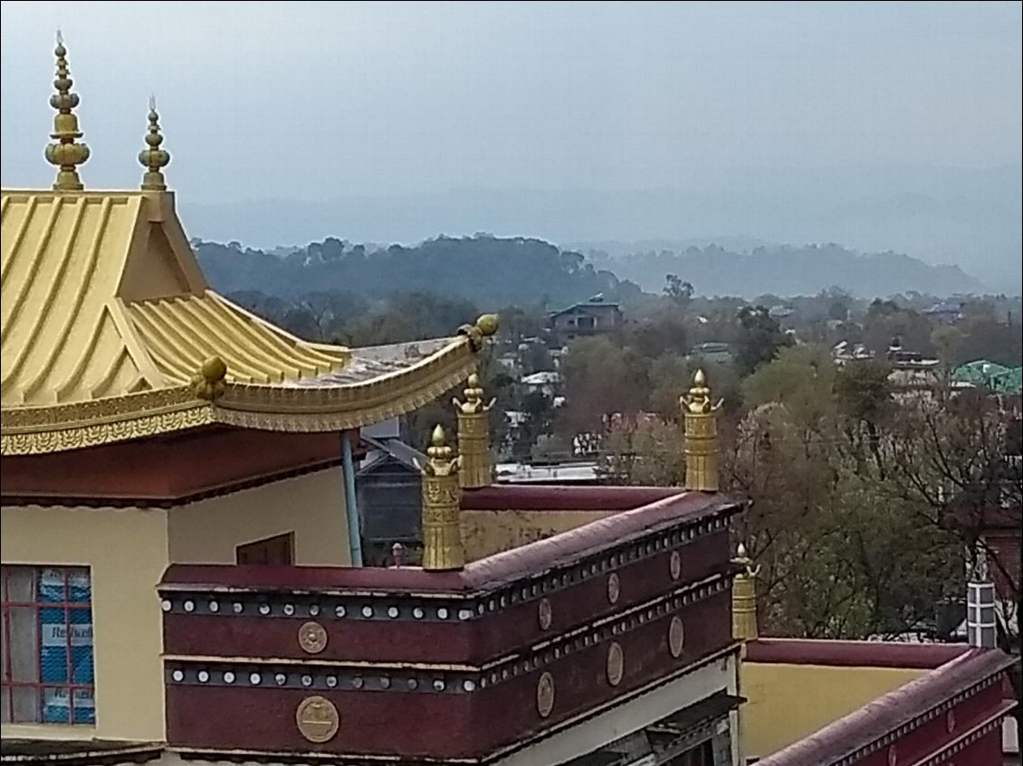 Vue depuis la fenêtre du Bouddha house hotel.