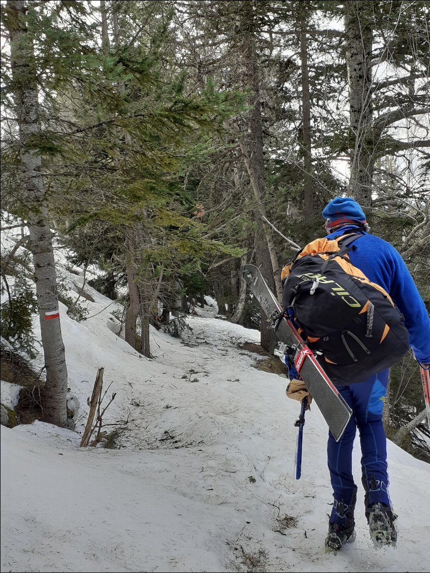 jour 2 = sommet du canigou