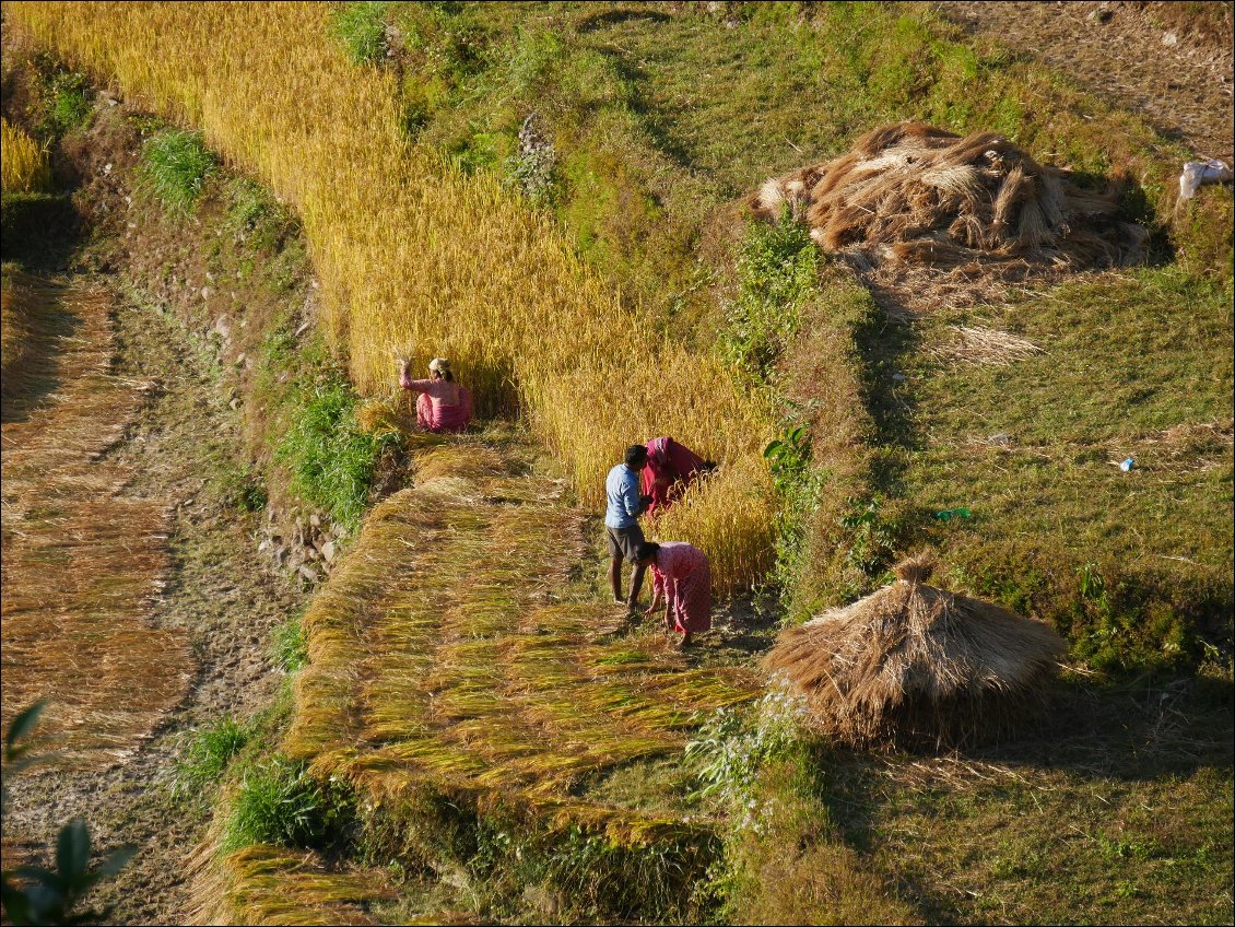 Du Khumbu aux Annapurnas