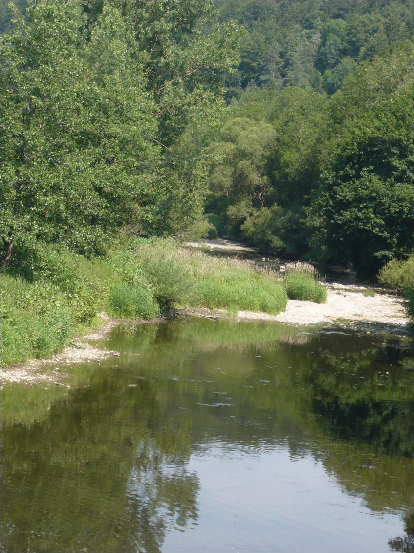 Donauversickerung = terrain calcaire avec voie souterraine du danube quand le courant est faible (ce qui est le cas en juillet) une partie de l'eau passe par les voies souterraines vers le lac de Constance (donc vers le Danube)