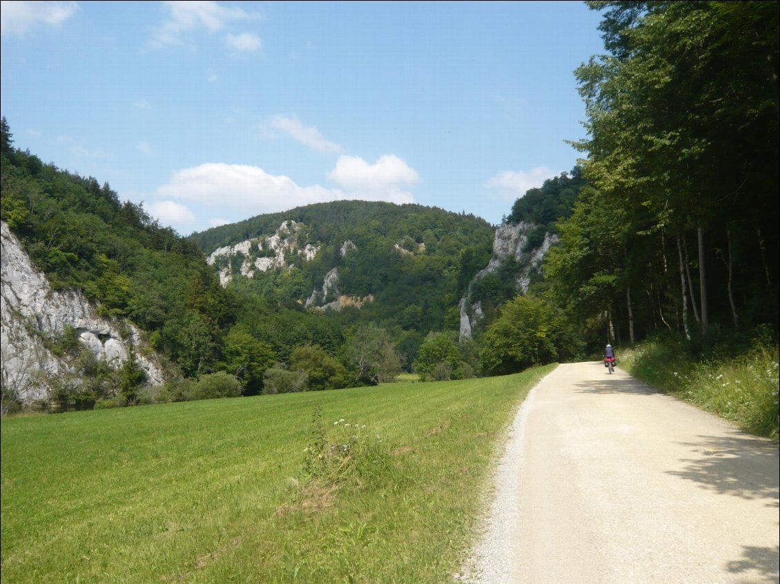 et voilà, plus de voitures, juste cette route forestière. top