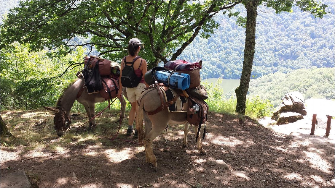 De nombreux points de vue sur la Dordogne