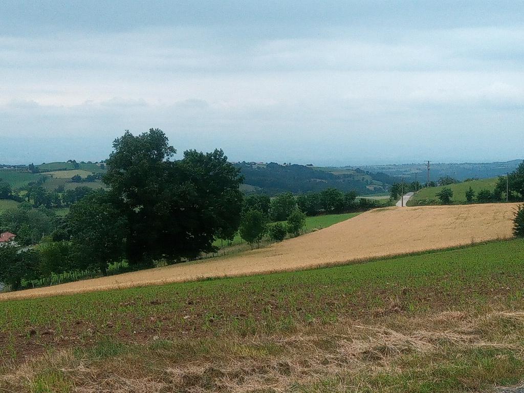 Il y a de l'espace derrière la Tournette à l'ouest, beaucoup d'espace.