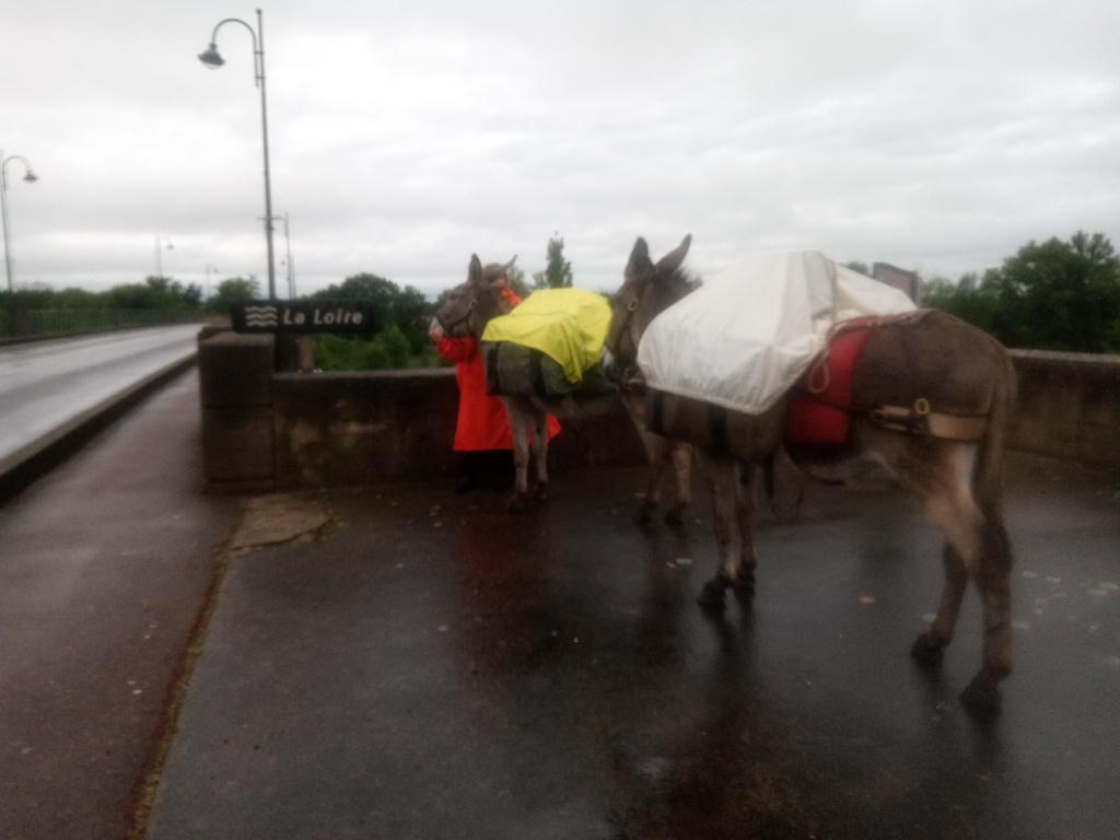 Le passage de la Loire sous une pluie battante