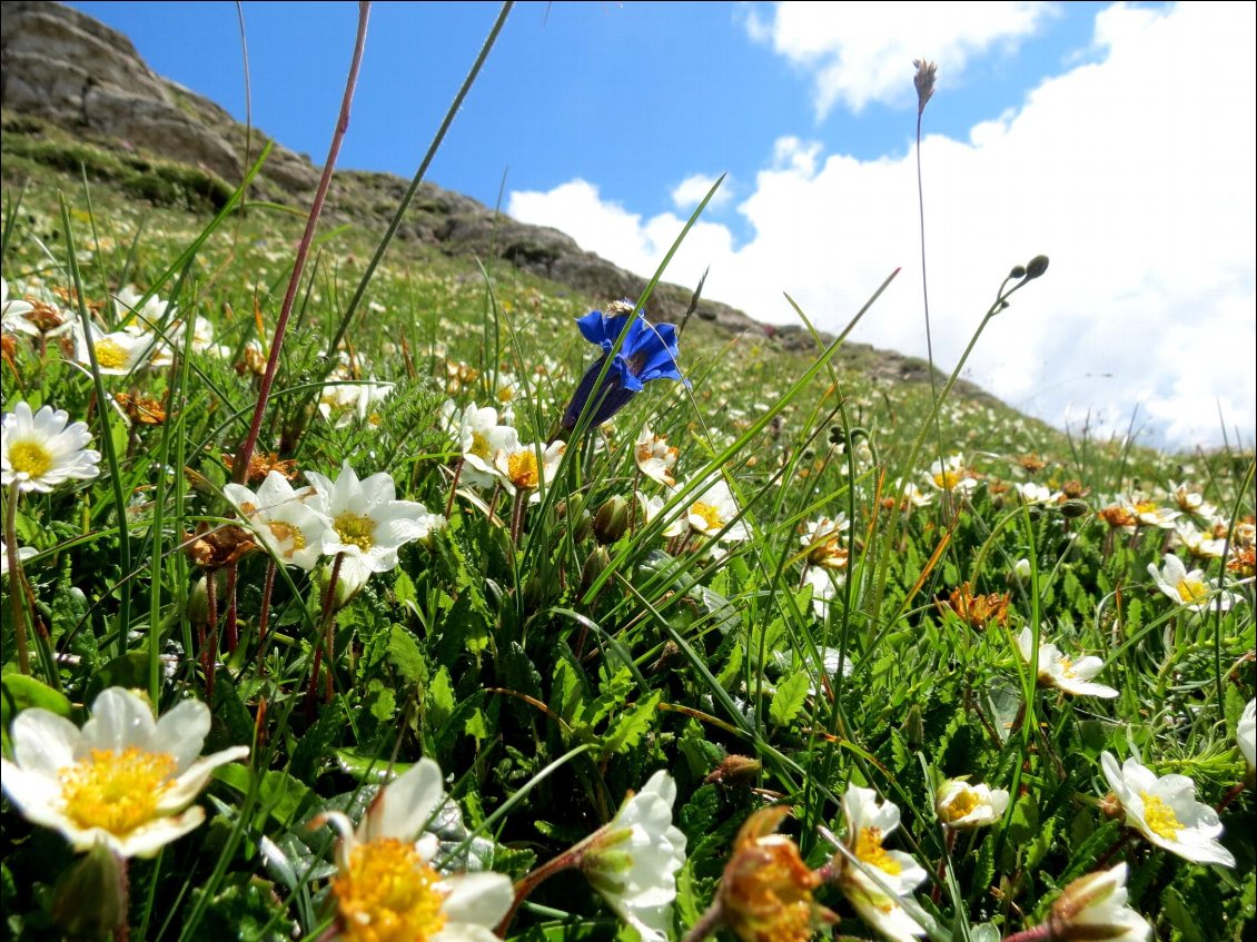 Cover of 4 jours de jeûne - 4 jeûneuses - 2 naturopathes - Vercors Sud