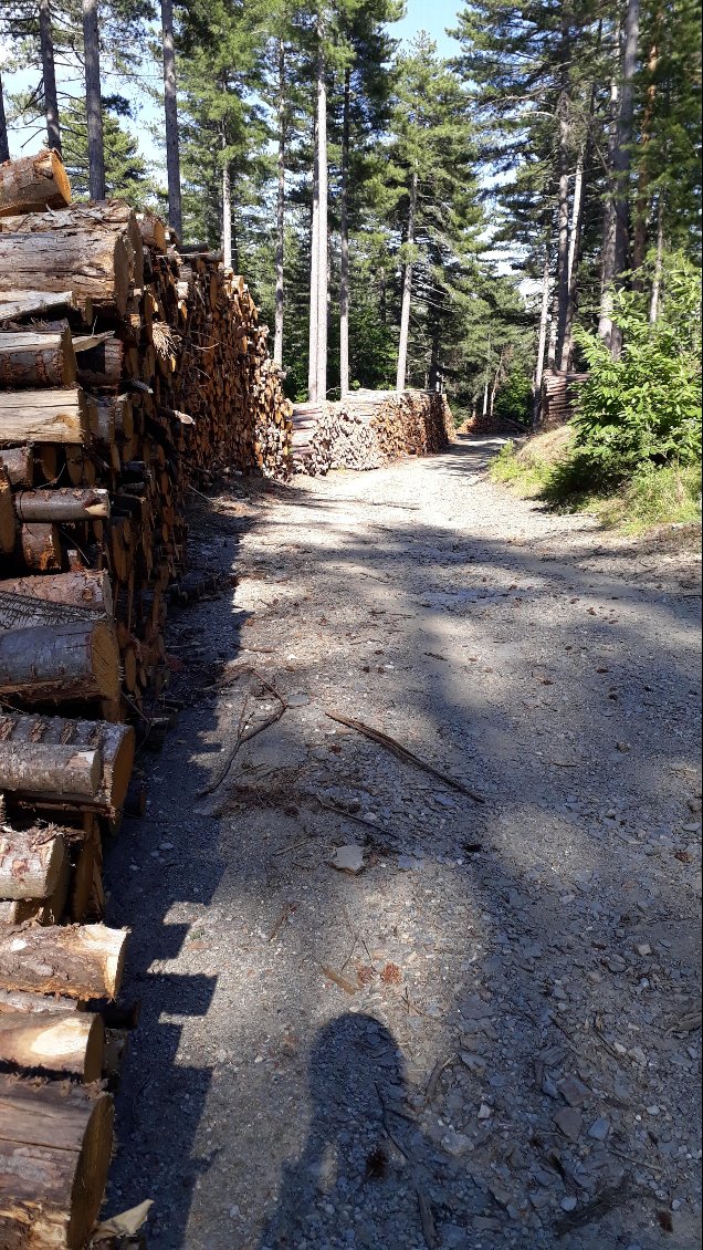 Descente vers St-Germain-de-Calberte