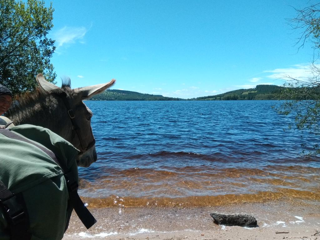 Pépito n'en croît pas ses oreilles : le bruit des vagues. Ça manque d'odeur d'iode et de sel, demain nous repartirons un peu plus à l'ouest.