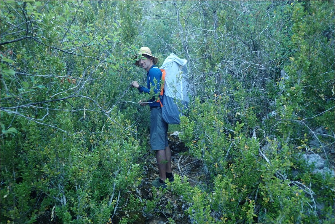 Jungle portage