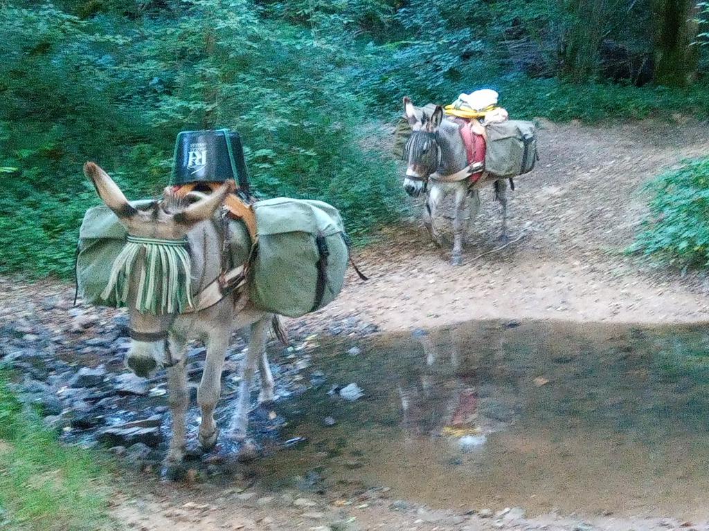 Entraînement intensif avec l'eau. C'est une performance.