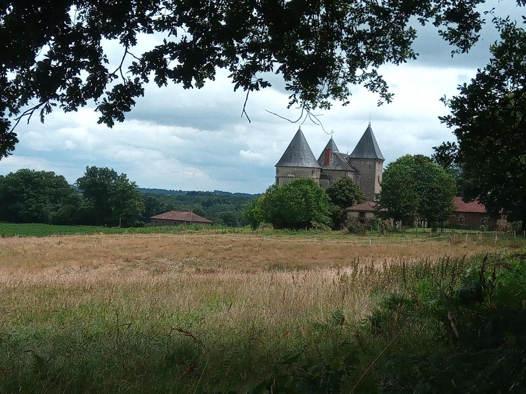 Château de Brie sur la route Richard Cœur de Lion.