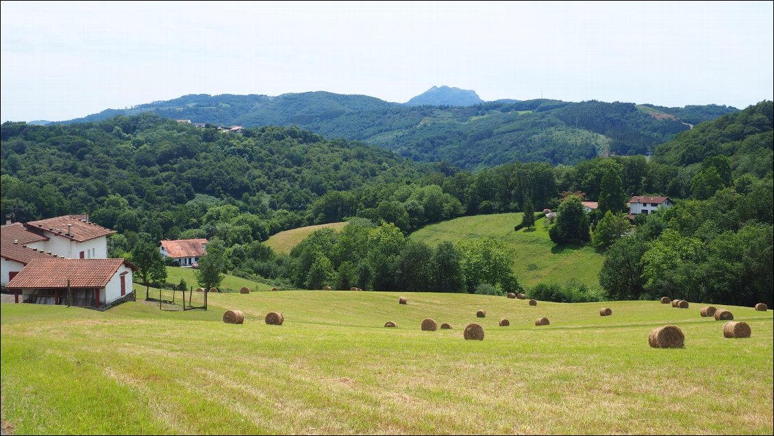 J1 : la campagne basque, paisible et verte