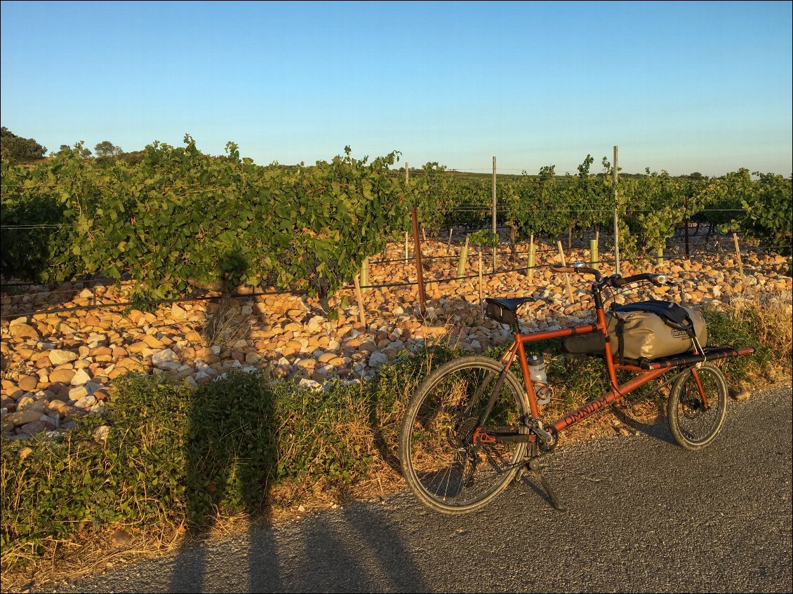 Les vignes sont l'indice permettant de savoir que j'arrive à destination : Chateauneuf-du-Pâpe.