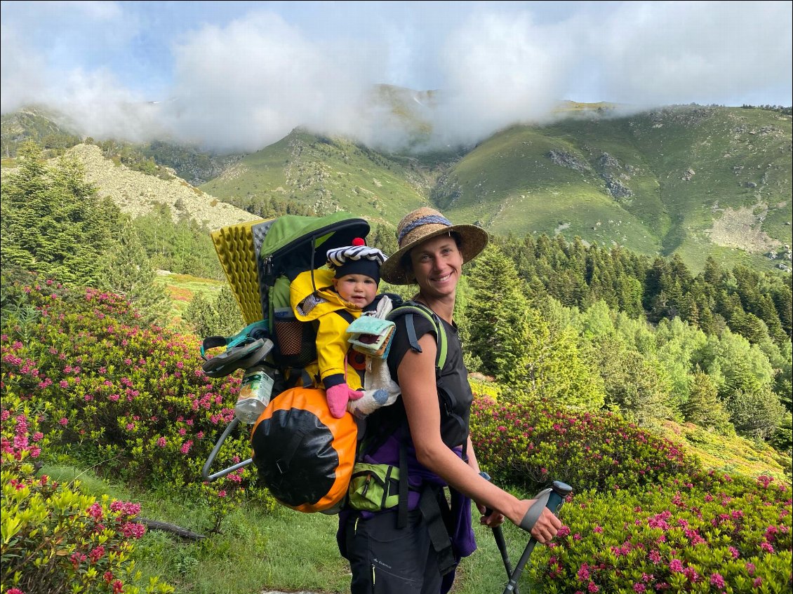 Parmi les rhododendrons, un jardin en pleine montagne