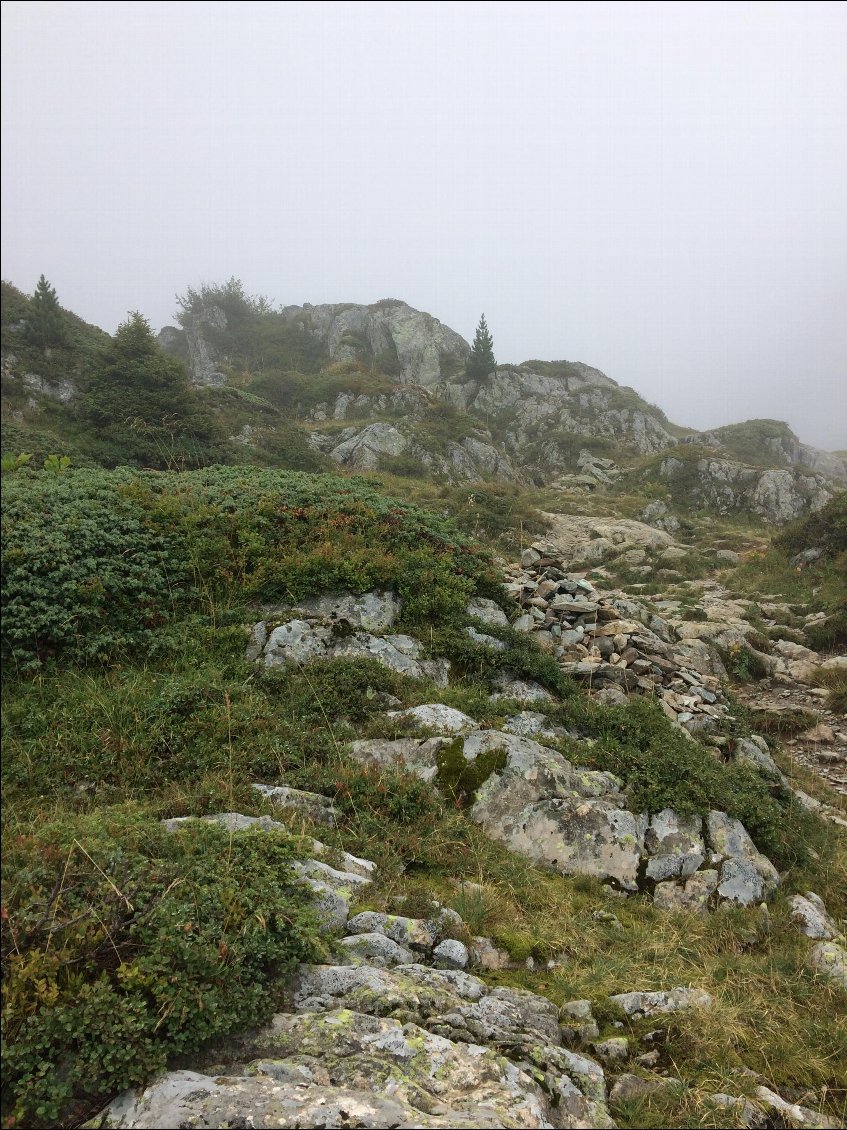 Montée dans le brouillard