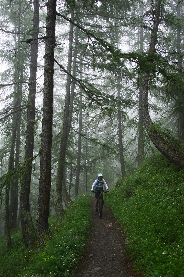 Début de la montée vers le col de Longet