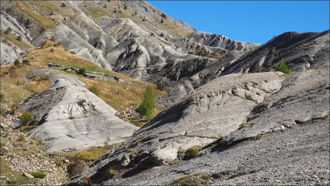 J74 : de la roubine à foison