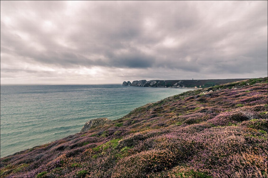 Randonnée sur le sentier côtier (GR34) avec vue sur la pointe de Pen Hir contournée ce matin même à la nage.