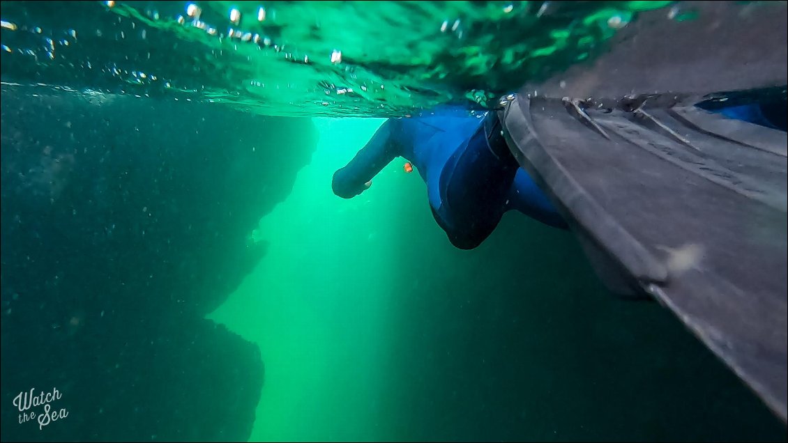 Au détour de notre exploration, nous tombons sur une arche sous-marine.