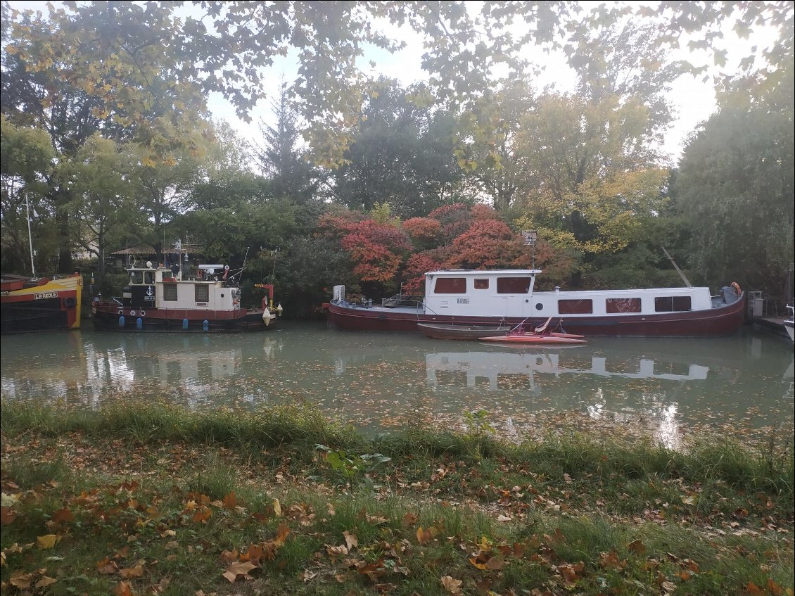 Bateau pirate