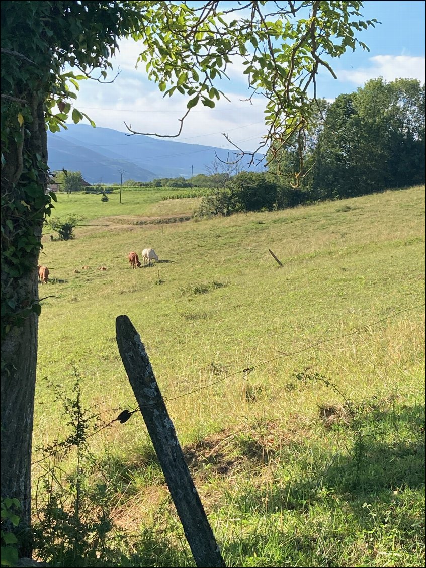 Montalieu-Motz en Chautagne