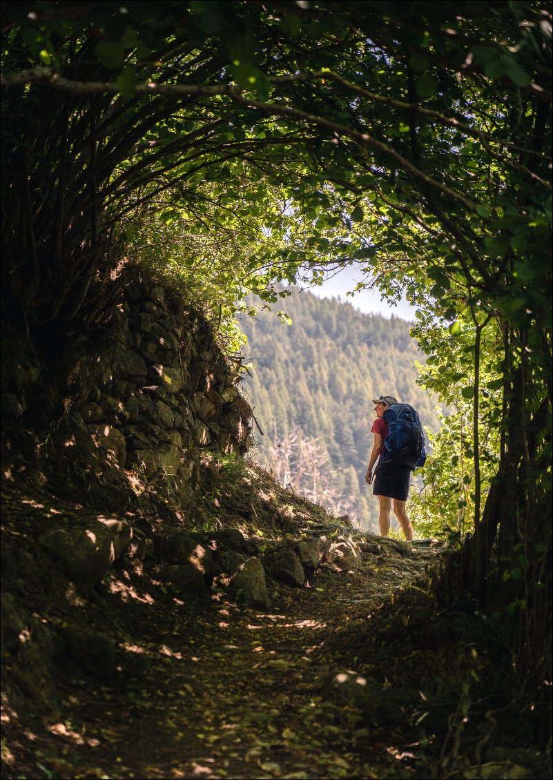 Une rare portion d'ombre dans la montée, versant ouest.