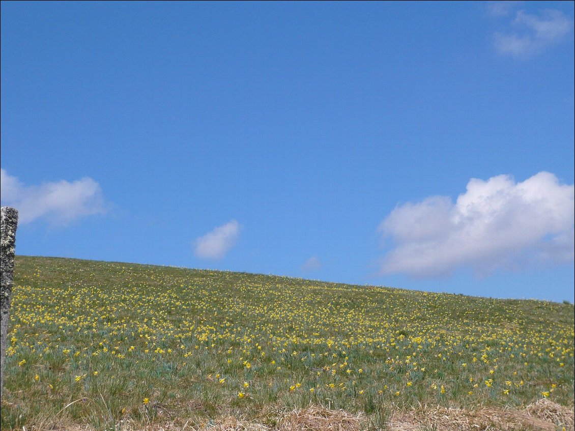 Col de Baracuchet-Croix de la Paix