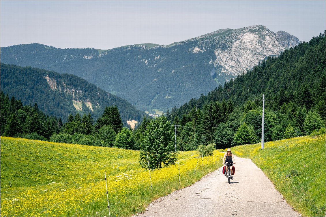 On sort de la forêt dans les derniers mètres de l'ascension. En arrière-plan, c'est le Charmant Som.