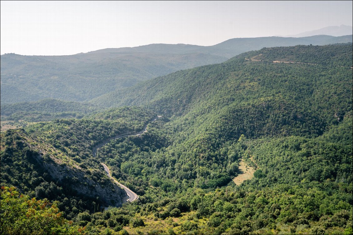 Peu après Sournia, la route se tortille dans une végétation encore bien verte.