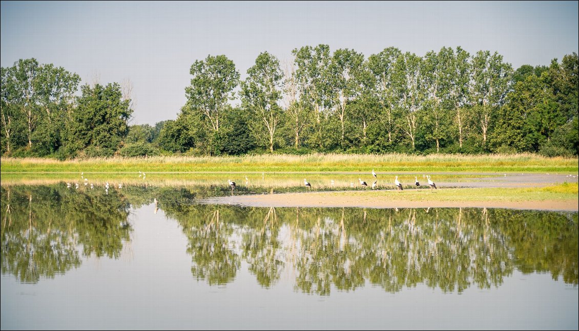 En "plaine" canicule