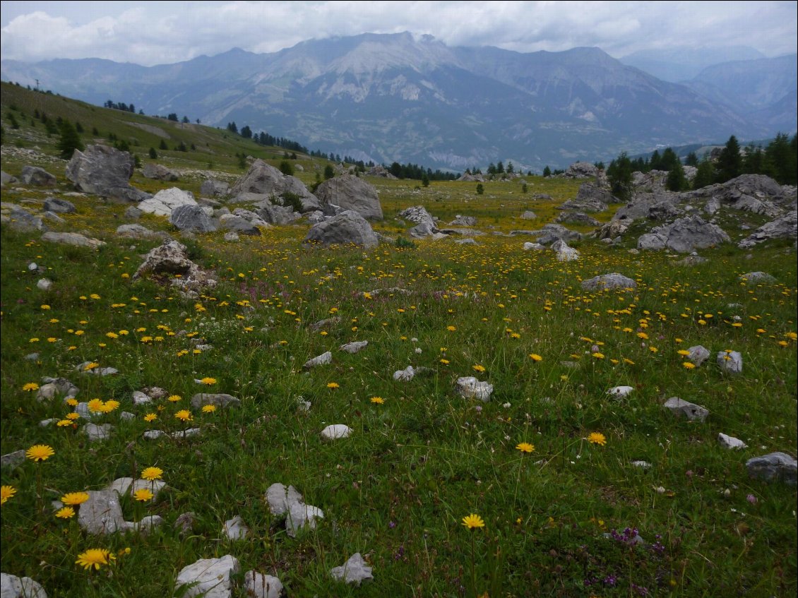 Après le Col de Fours