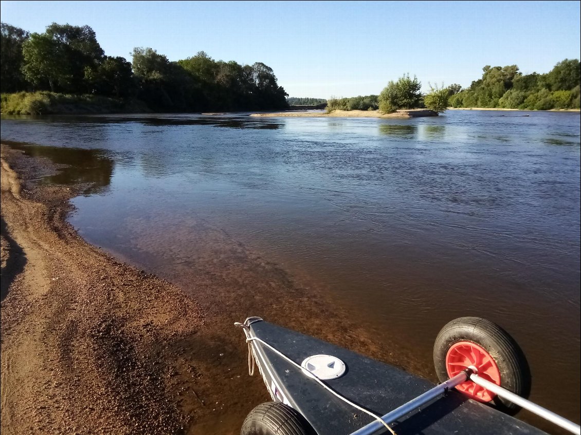 Confluence avec l'Allier. Loire à gauche, Allier à droite.