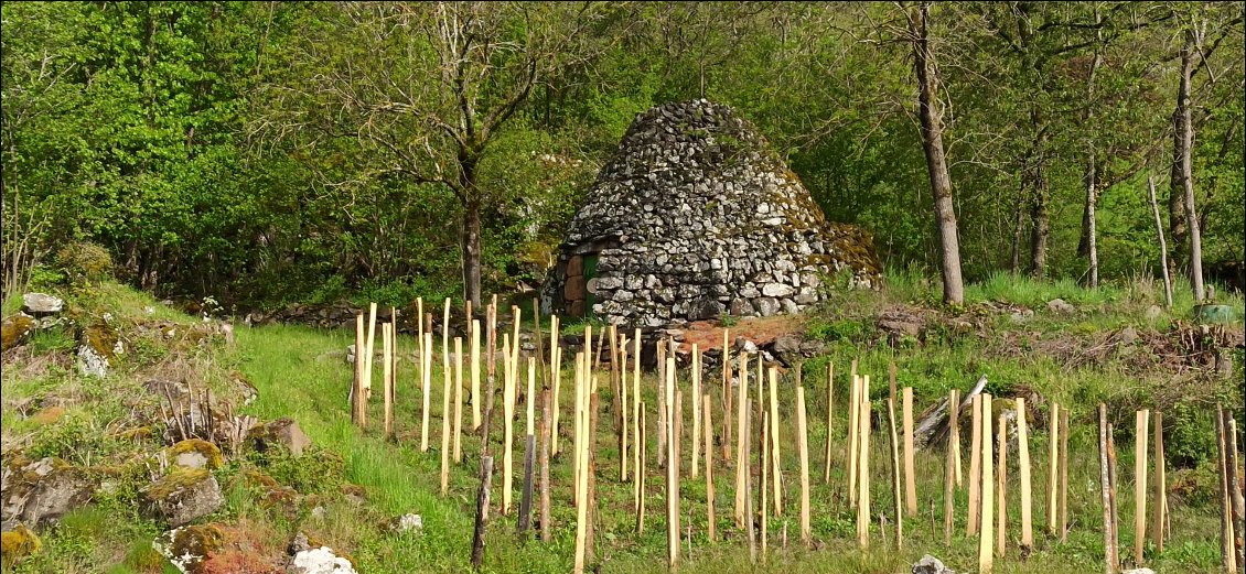 C'est une chibotte. Il s'agit d'une cabane en pierres sèches qui servait d'habitation saisonnière dans les champs et les vignes pour les Ponots, nom donné aux habitants du Puy.