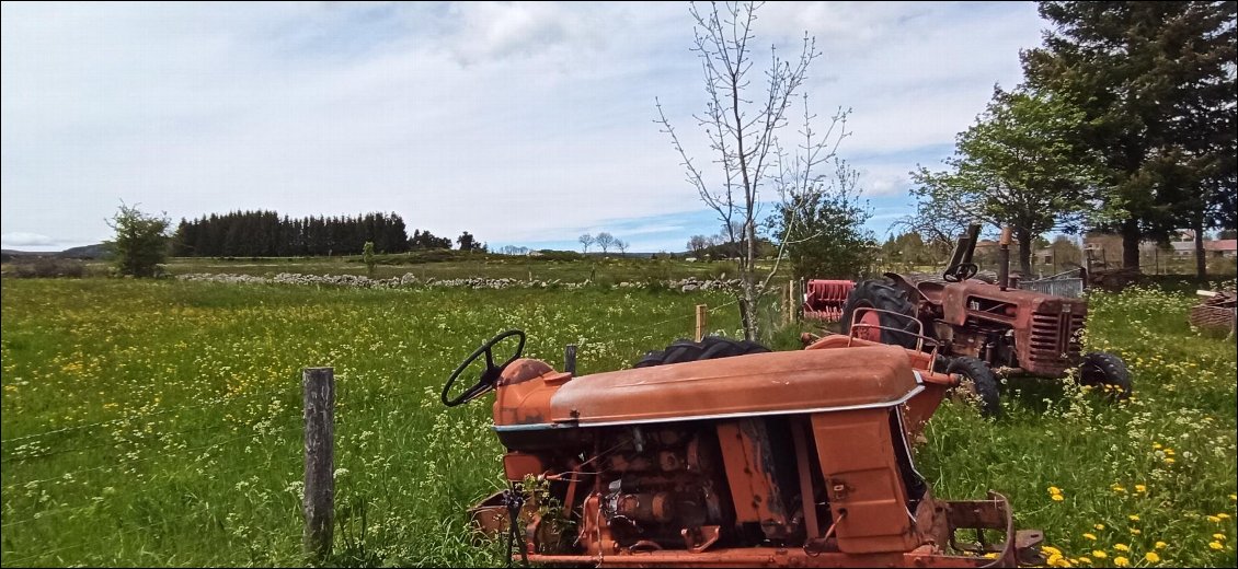 Tracteurs au rebut qui écoulent une fin de vie paisible dans la cour d'une ferme.