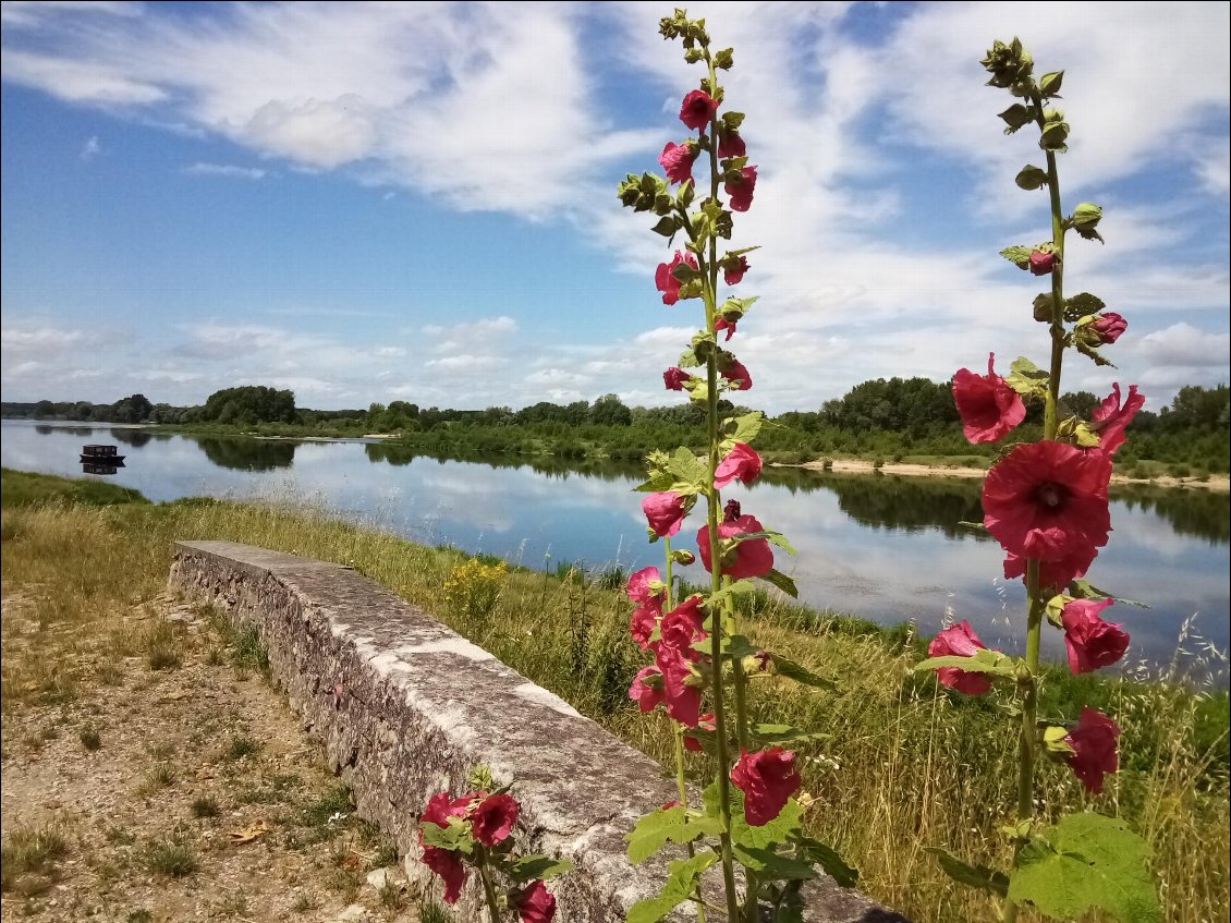 Allez, pour le plaisir, une petite vue depuis St-Dyé.