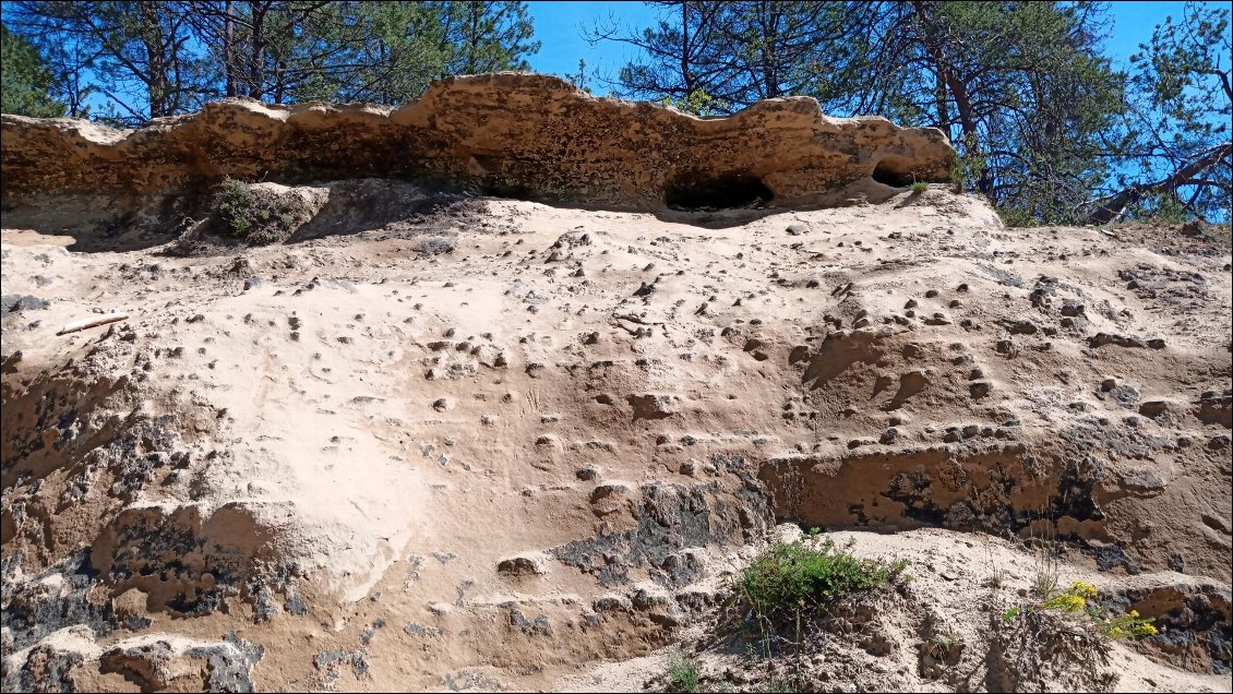 Combe de la Barnière, visualisation de ce qu'est la molasse