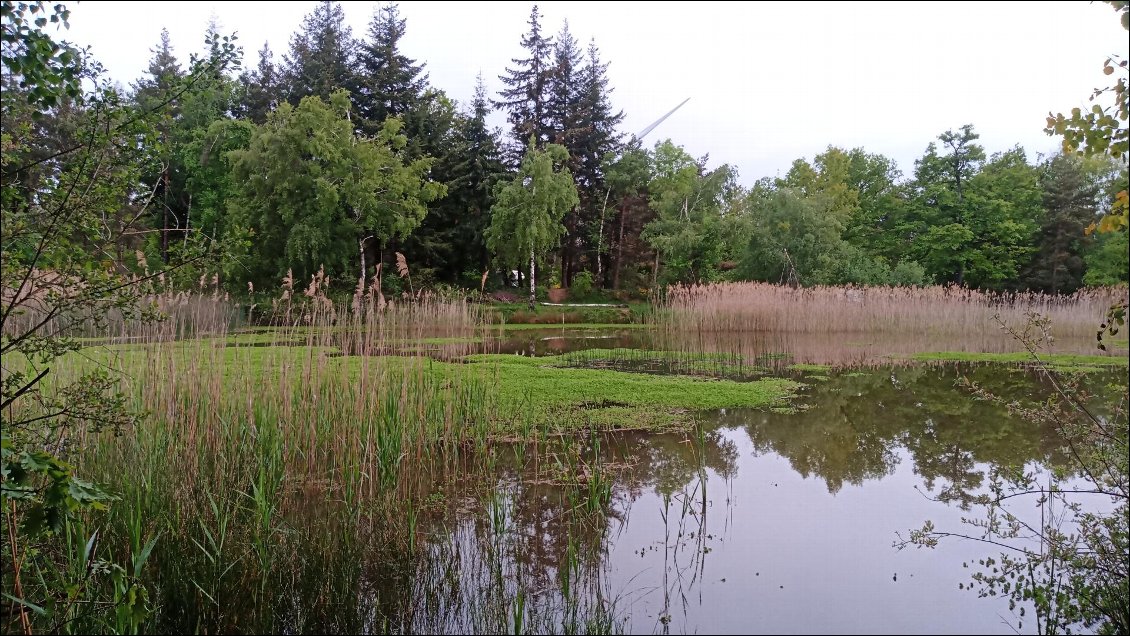 Etang de Joanna Maria