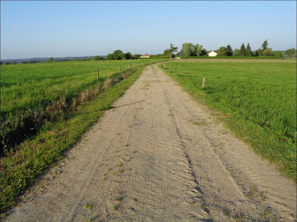 Horizon clair et chemin tracé.